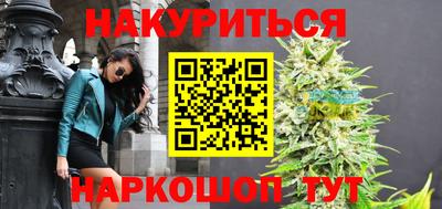 гидра Кингисепп