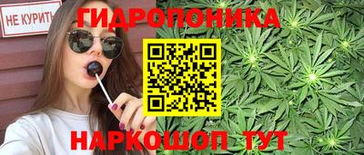 гидра Кингисепп