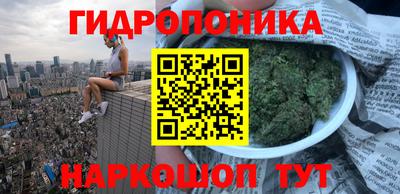 гидропоника Кимры