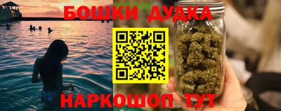 гидра Кингисепп