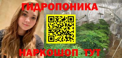 гидра Кингисепп