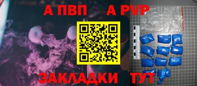 гидра Кингисепп
