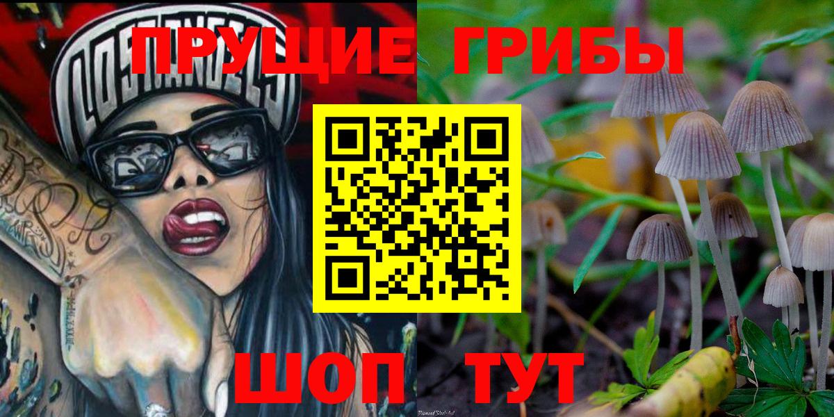 Псилоцибиновые грибы GOLDEN TEACHER Коммунар