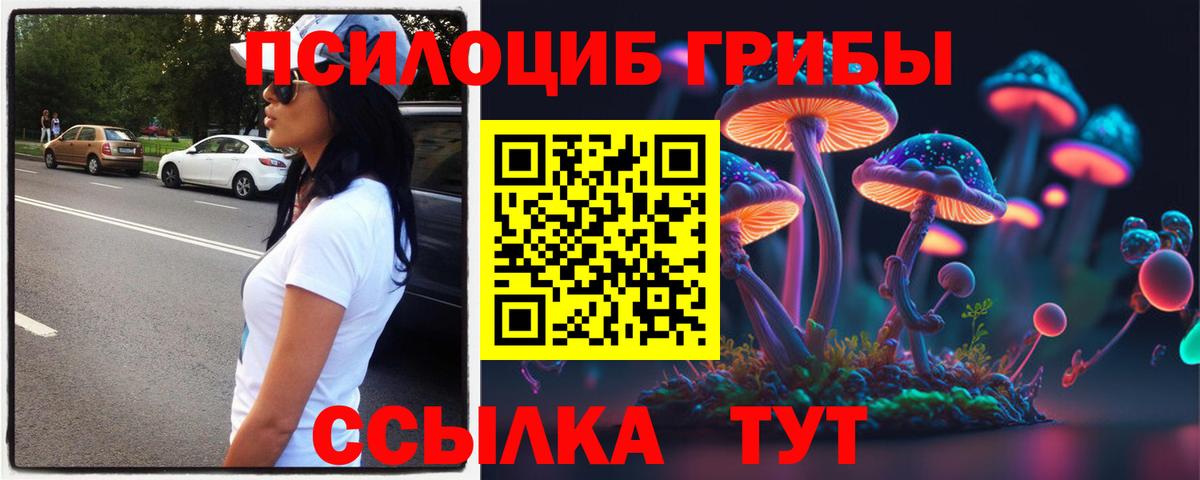 Коммунар  Псилоцибиновые грибы прущие грибы  Вход с VPN  Галлюциногенные грибы GOLDEN TEACHER 